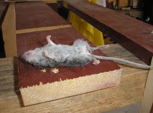 15 Skylark Dr, Jackson, NJ 08527