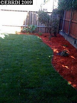 Landscaped backyard