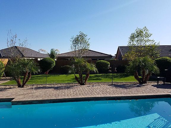 Big backyard 