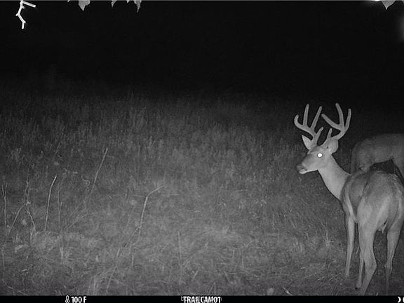 2nd image of 9511 Puddin Ln