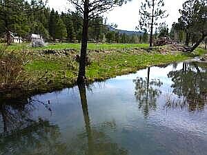 1st image of 0 Roney Flat Rd