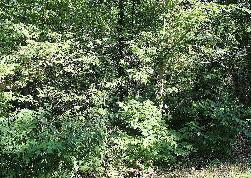 2nd image of 23001 Anthony Rd