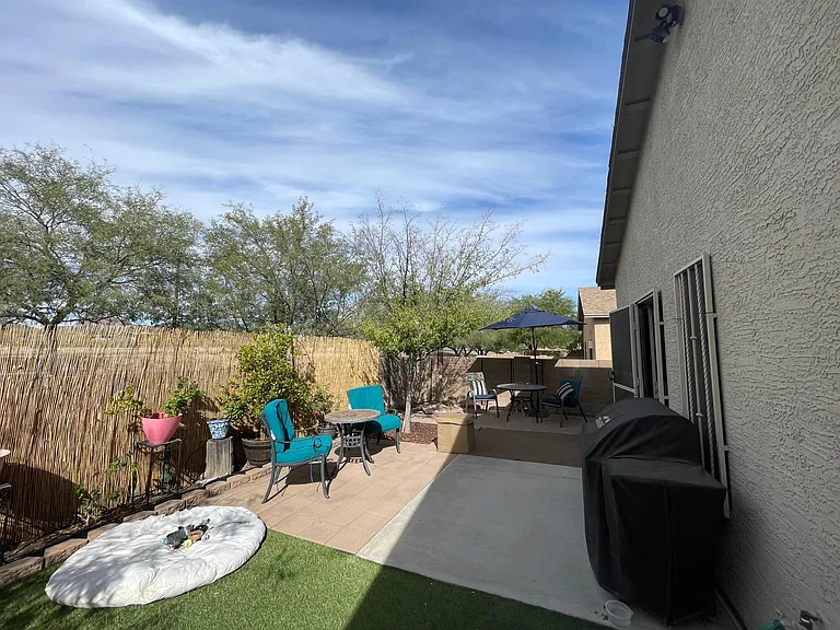 Backyard