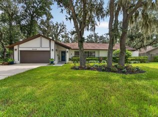 3002 Wister Cir, Valrico, FL 33596