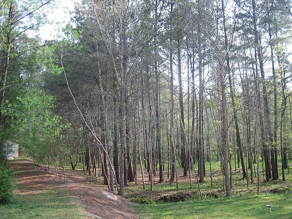 Storage Shed made of Cedar lining