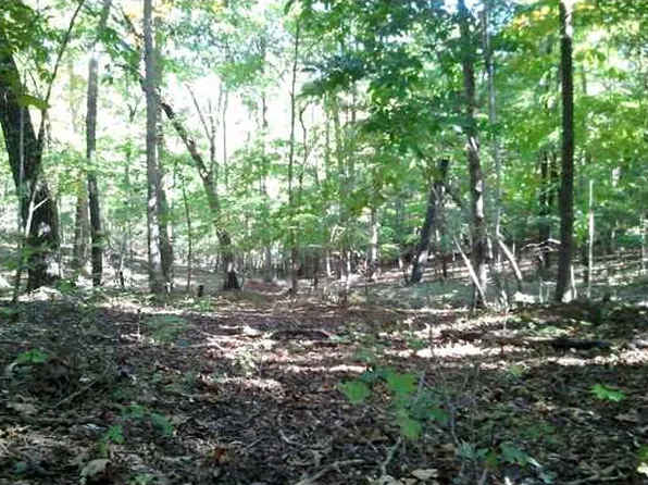 Lovelace Rd, Clarkesville, GA 30523