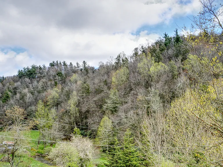 1496 Winklers Creek Rd — Photo 9