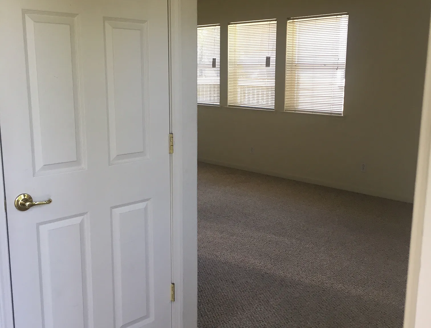 1 bed, $1,800 — Photo 2