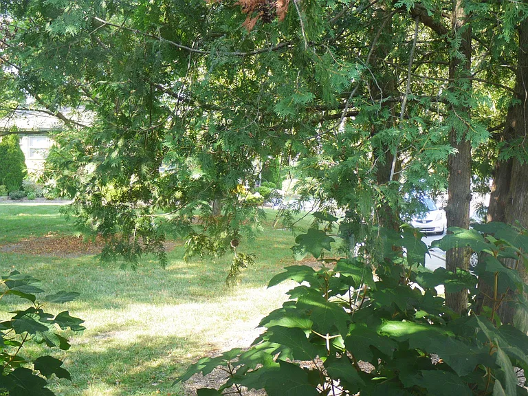 2362 Parkwood Ave — Photo 21