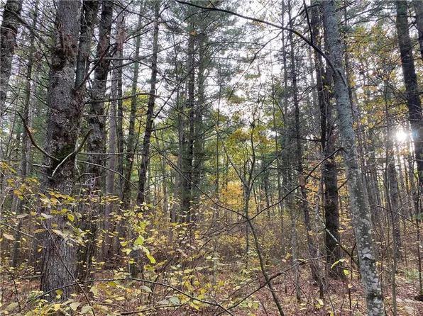 Lot 11 Indian Trail Road, Hayward, WI 54843