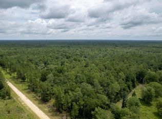 Vacant Ne Blue Ridge Landing Ave, Lee, FL 32059
