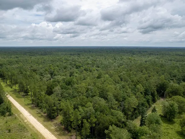 Vacant Ne Blue Ridge Landing Ave, Lee, FL 32059