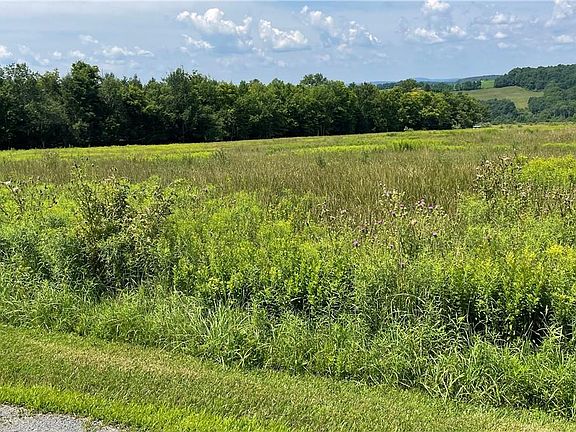 5th image of Beechwoods Road