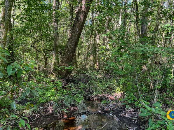 0 Marvis Chapman Rd, Ideal, GA 31041