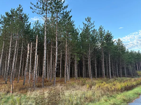 LOT 4 Plantation Rd, Pelican Lake, WI 54463