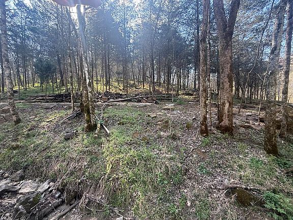 3rd image of 940 Riley Creek Rd