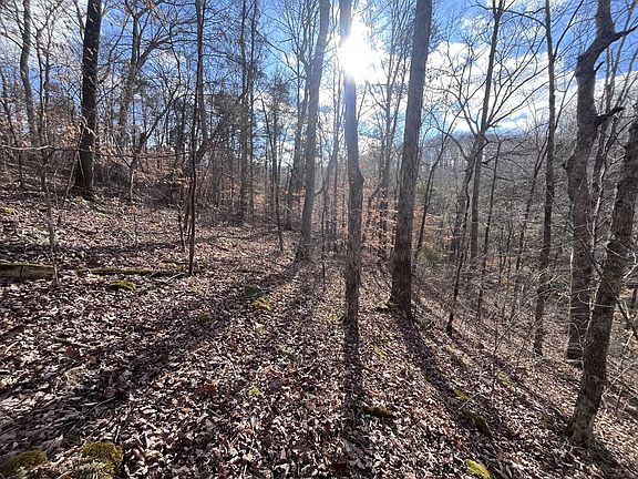 20th image of this home