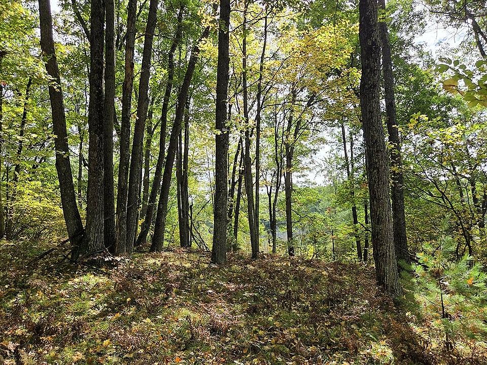 1st image of 11 French Rd