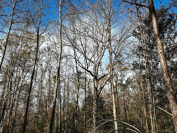 hardwoods