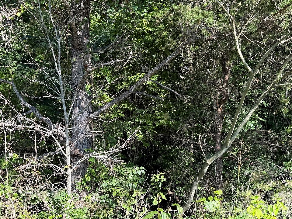 2nd image of 0 John Bowman Rd