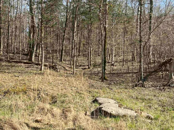 0 Lake Dr, Clifton, TN 38425