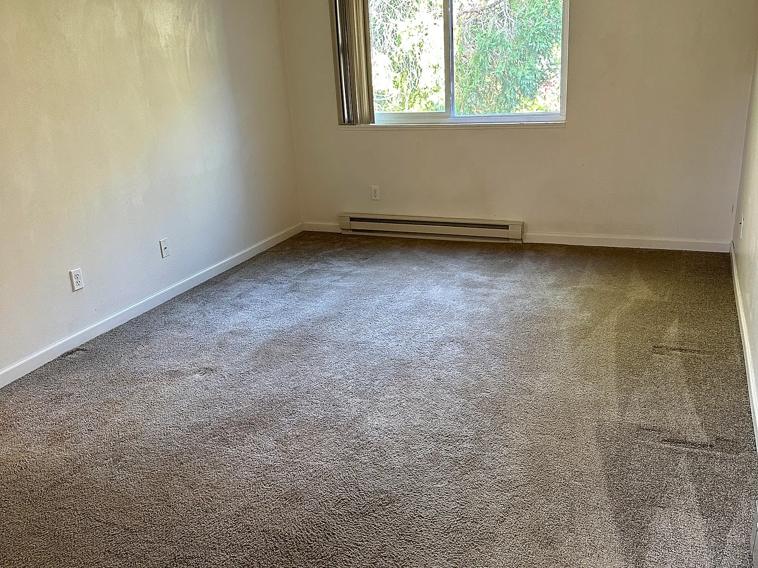 1 bed, $950 — Photo 4
