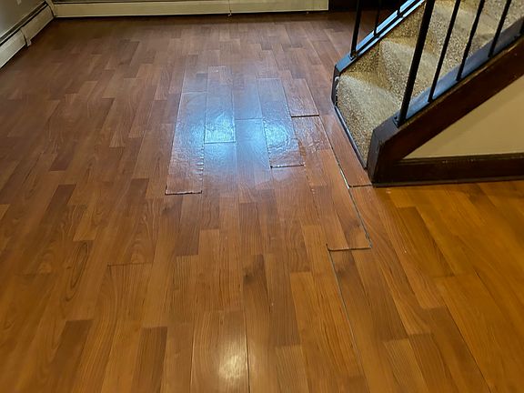 Family room lower level