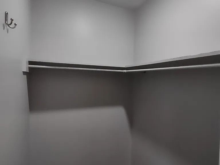 Walk-in master closet.