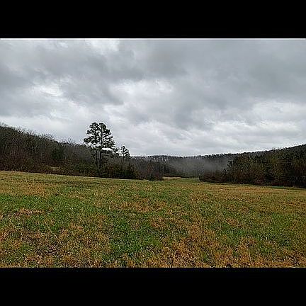 Pasture