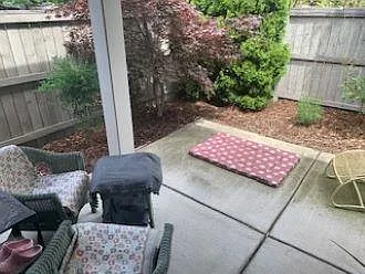 451 Williamson Way — Photo 14