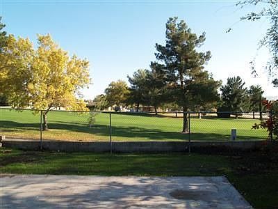 backyard view