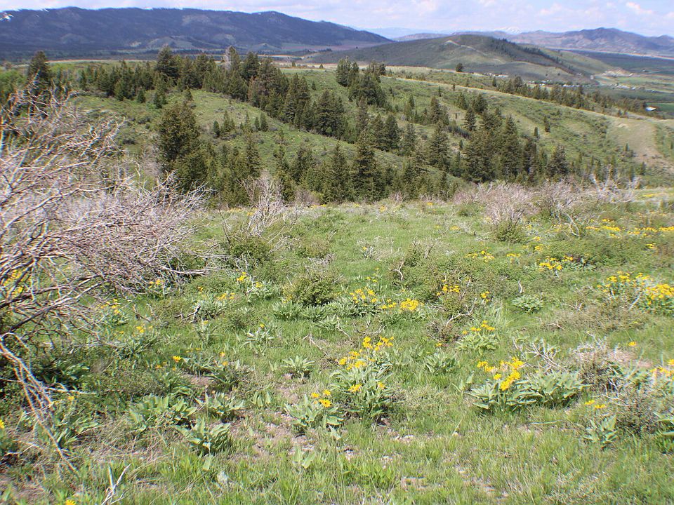 1st image of Caribou Village Subdivision Phase 1 Block 2 Lots 4