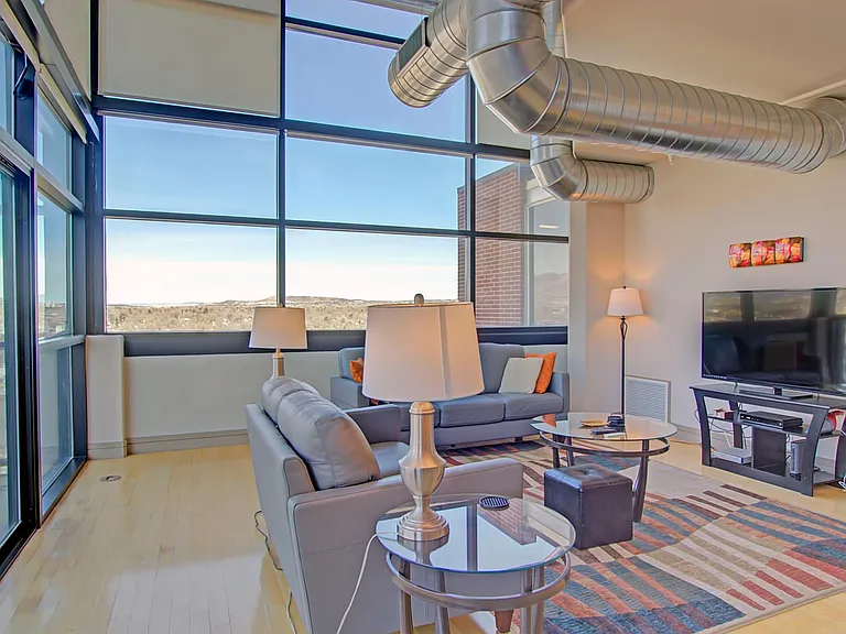 417 E Kiowa St #1206 — Photo 3