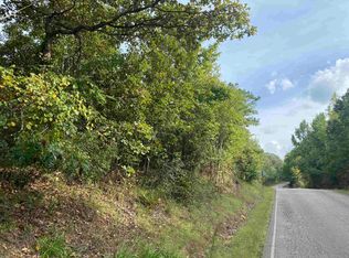 0 Gann Rd, Selmer, TN 38375