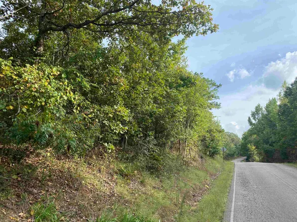 0 Gann Rd, Selmer, TN 38375