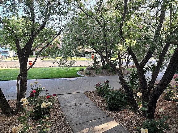 Front Yard
