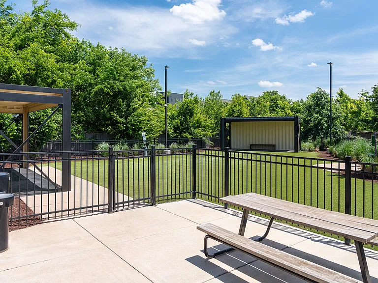 Dog Park