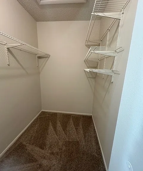4155 Thalia Station Cir — Photo 15