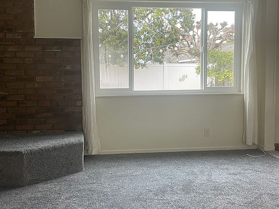 Living Room / back-yard view (new windows throughout)