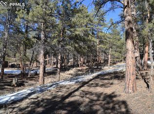 1355 N Crystal Rd, Lake George, CO 80827