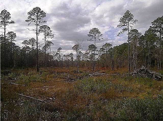 1st image of 2 Nellie Dr