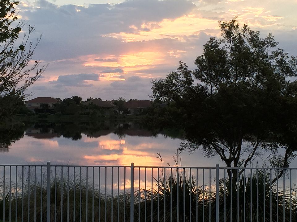 The View in the Morning
