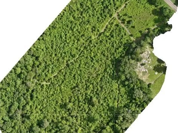 Fm 1415 S, Burkeville, TX 75932