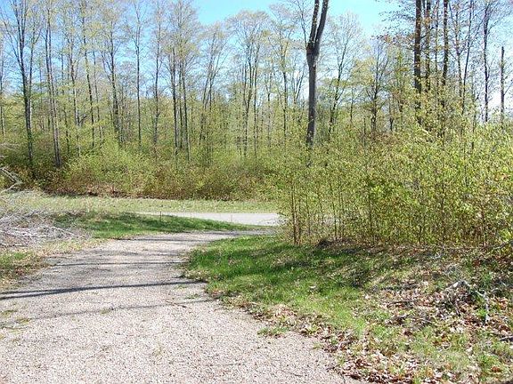 3rd image of 5275 Burt Lake Views Dr