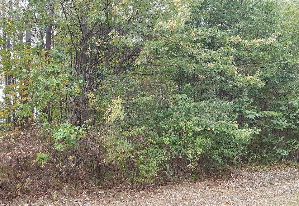 2nd image of Shady Dr