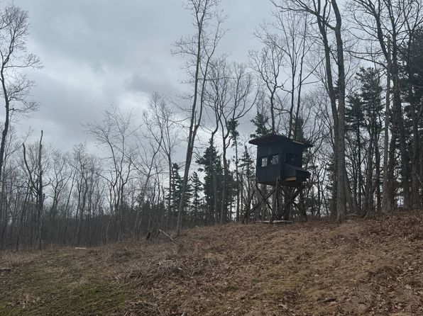 224 Fire Tower Rd, Mehoopany, PA 18629