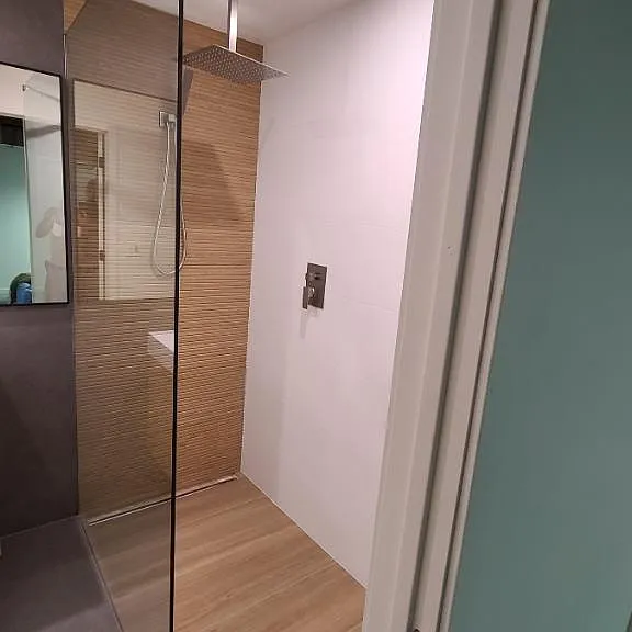 brandnew walk in shower bathroom basement