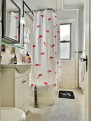 Rented by Compass | media 28