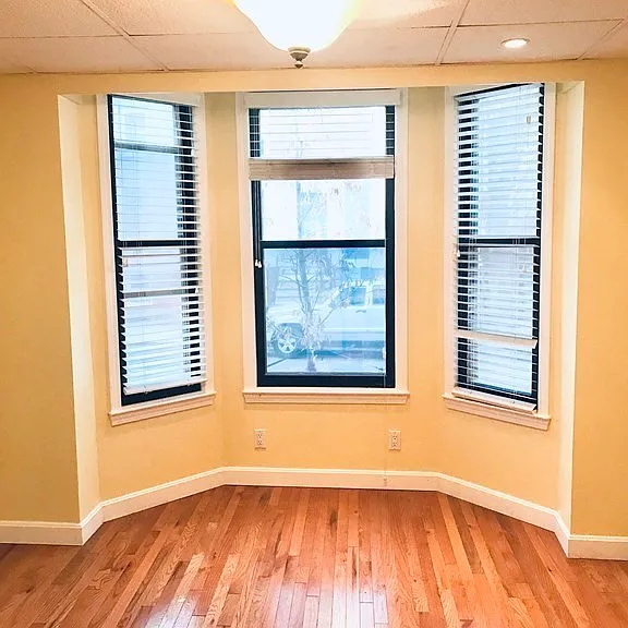 265 Lexington St #2 — Photo 5