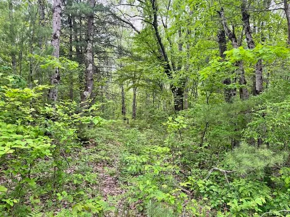 Brewer Rd, Brethren, MI 49619